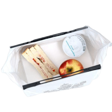 sac isotherme 15L lunch bag transport de déjeuner