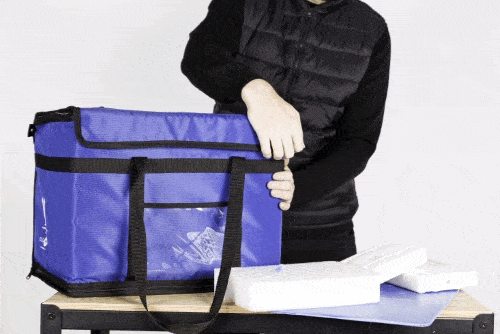 Gif MedicalCase 22L